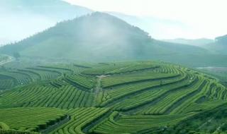 武夷山九曲十八弯介绍 武夷山风景