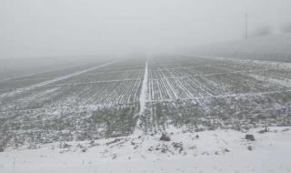 10月下雪打雷民间有什么说法 冬天打雷有什么说法