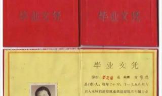 毕业证丢了怎么办 大学毕业证丢了